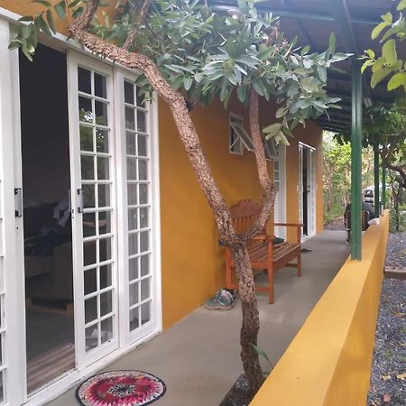 Jardim Da Lila - Um Recanto De Paz Em Alto Paraiso Alto Paraíso de Goiás Екстериор снимка